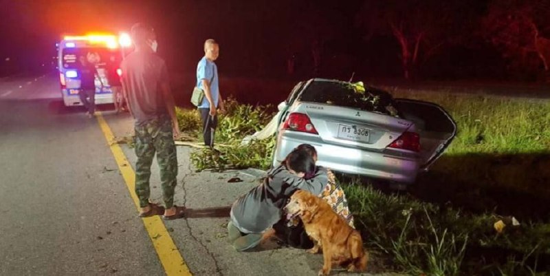 泰国男子车祸身亡 狗狗守在车内不让任何人靠近