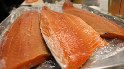 老翁为健康大量吃鲑鱼鲔鱼　半年后肾功能大幅下降