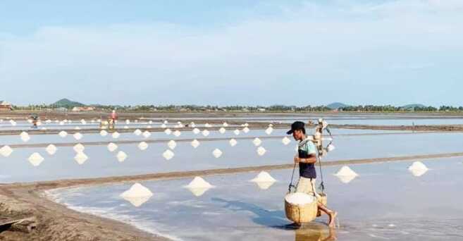 柬埔寨即将进入食盐收获季