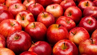 一颗苹果RM10.50 ！　韩国水果飙天价　众抱怨吃不起 