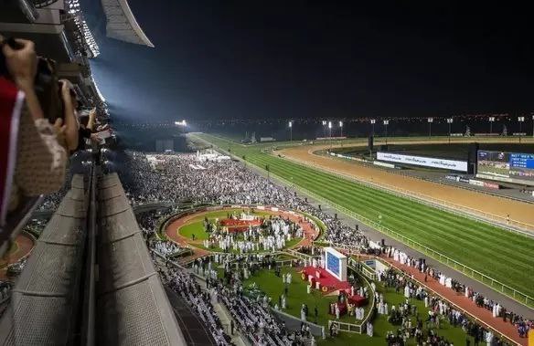 迪拜赛马世界杯将于明年4月5日举行