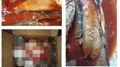 截获从狮城走私入境沙丁鱼罐头　检验发现有寄生虫！