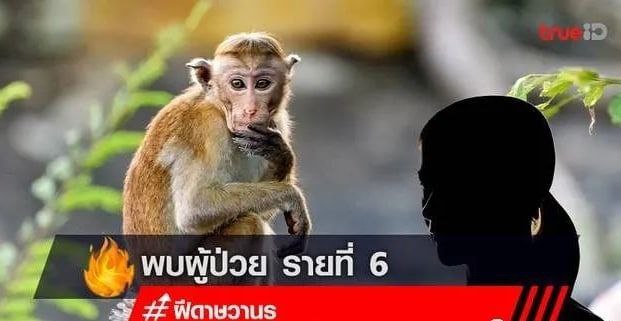 泰国发现第6例猴痘病例，患者自卡塔尔入境，28人成为风险人