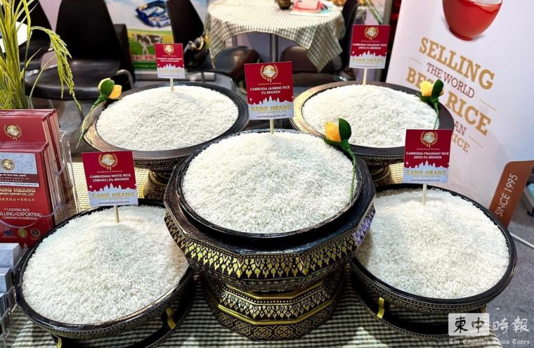 柬埔寨 | 今年上半年柬埔寨向中国出口大米下降45%