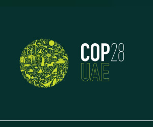 世界在发展和减排要求与对COP28的希望